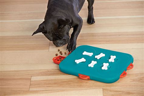 18 Best Food Puzzles for Cats and Dogs