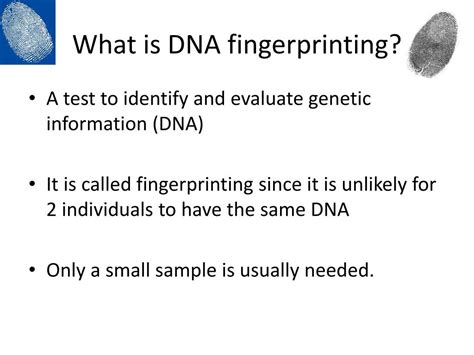 PPT - What is DNA fingerprinting? PowerPoint Presentation, free download - ID:3141333