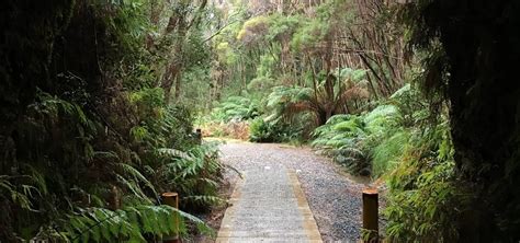 Things to do in Zeehan - Top Attractions | Enjoy Tasmania