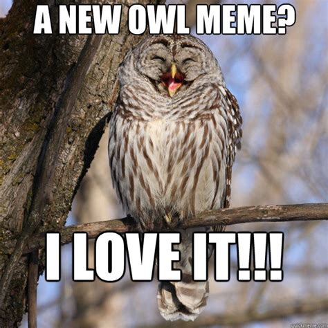 Owl Memes - Gallery | eBaum's World