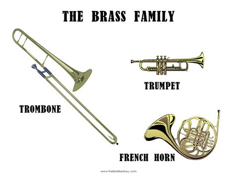 What Are The Names Of All The Brass Instruments at Mark Ferrell blog