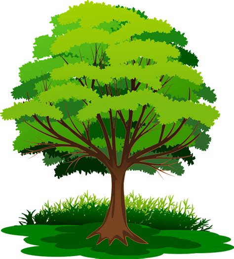 Tree with Green Leaves in the Grass clipart. Free download transparent .PNG | Creazilla