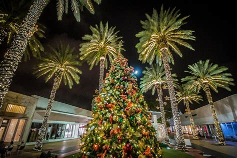 Christmas tree on Lincoln Rd, Miami Beach | Miami beach, Tropical getaways, Beach