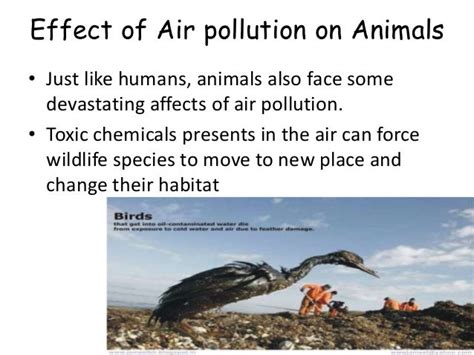 Air Pollution (slide presentation)