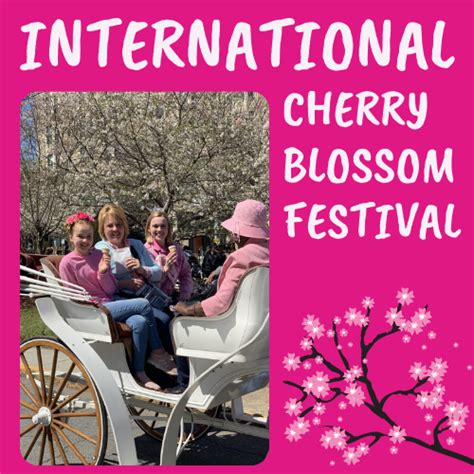 Columbus Cherry Blossom Festival 2024 - Bab Carline