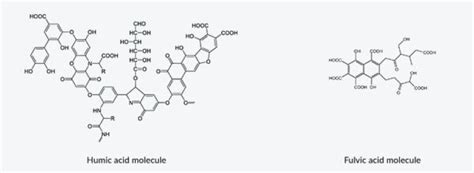 Humic Acid Vs Fulvic Acid In Agriculture - Farmtek® Australia