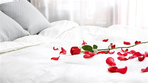 How To Place Rose Petals On A Bed | Our Deer