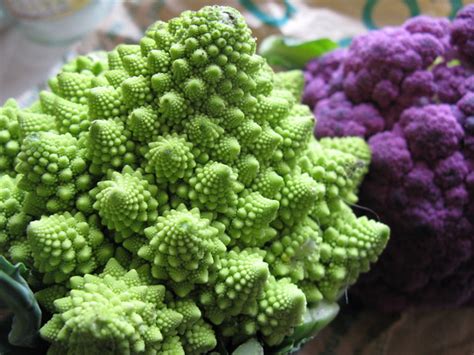 Romanesco & purple cauliflower | Rain Rabbit | Flickr