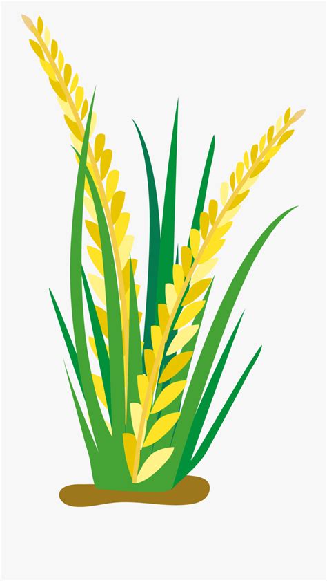 Rice Plant Vector at Vectorified.com | Collection of Rice Plant Vector ...