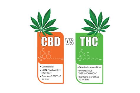 CBD vs THC: What's The Difference? - CBD LION