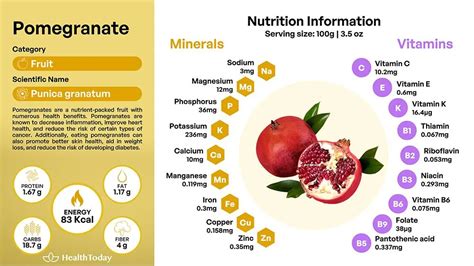 Pomegranate 101: An Ancient Superfood With Mystique - HealthToday