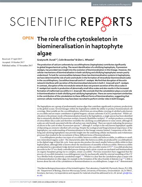 (PDF) The role of the cytoskeleton in biomineralisation in haptophyte algae