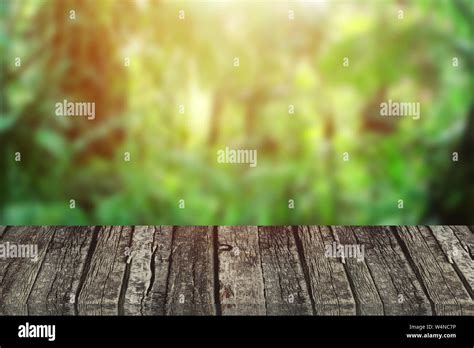 Incredible Assortment of Full 4K HD Snapseed Background Images: 999+ Stunning Options