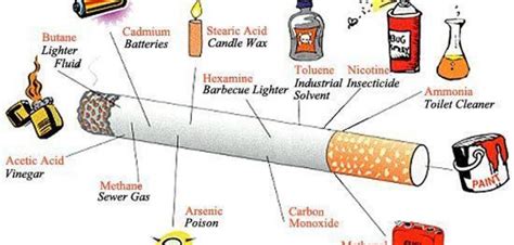 Tobacco & Cigarettes–Harmful effects on the environment - Zemsib