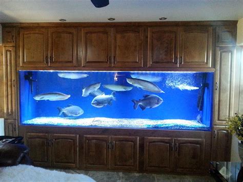 Tsunami 500-Gallon 120"Lx36"Wx30"H Rectangular Acrylic Aquarium U500L @ Fish Tanks Direct