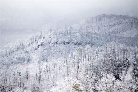 Snow photos in Great Smoky Mountains National Park December 2019