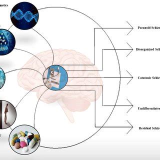 (PDF) Role of neurotransmitters in schizophrenia: a comprehensive study