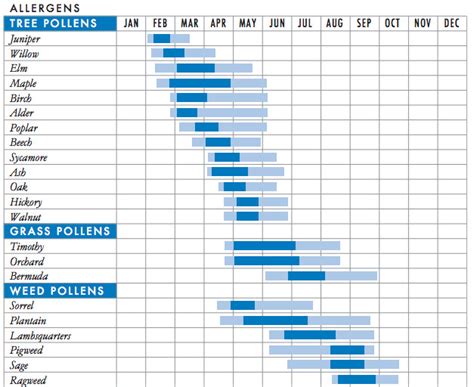 Pollen season 2019: why allergies get worse every year - Vox