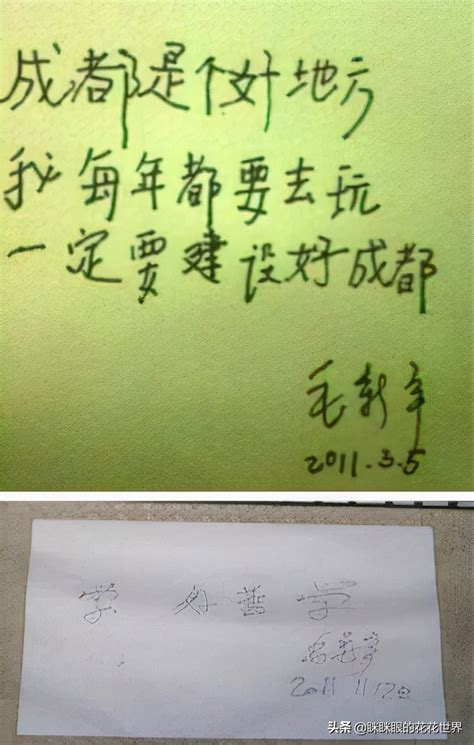 Mao Xinyu generously admits that calligraphy is inferior to his grandpa - iMedia