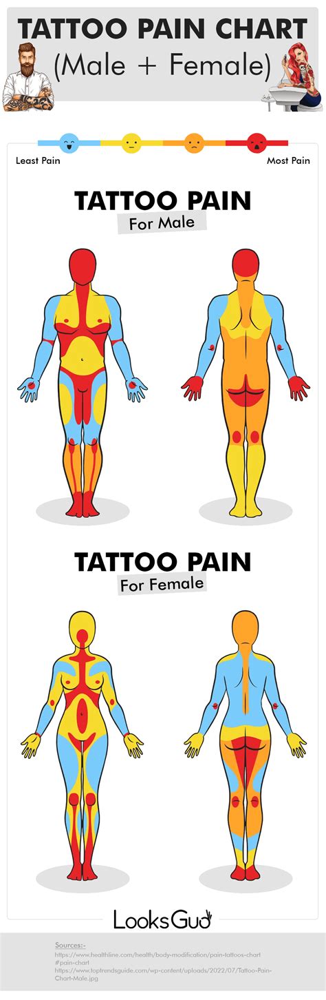 Um...Tattoo Pain Chart for Male and Female [socialmedia] : r/pointlesslygendered