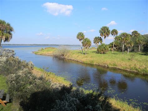 The "Unknown" Florida: Myakka River State Park - Sarasota, FL