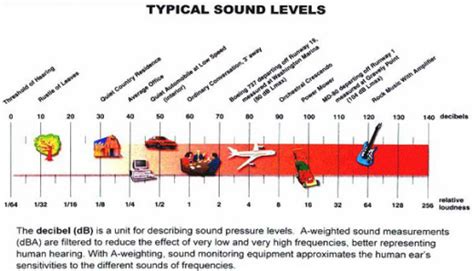 Sound Waves, Frequency and Vocabulary - How you hear