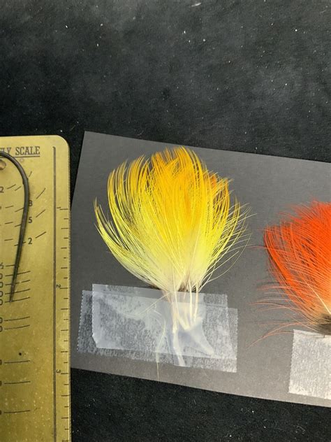 TOUCAN FEATHERS SALMON FLY TYING FLIES RARE | eBay