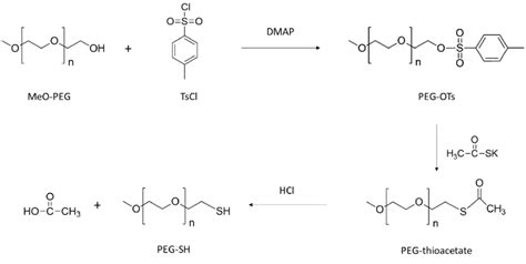 Synthesis of PEG-SH. | Download Scientific Diagram