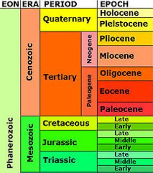 Geologic Time Scale | Definition, History & Diagram - Video & Lesson Transcript | Study.com