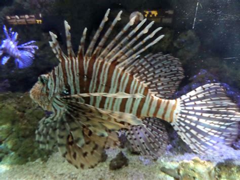 Gdynia Aquarium - ITS Poland