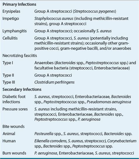 Skin and Soft-Tissue Infections | Basicmedical Key