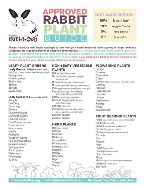 Printable Rabbit Diet Chart