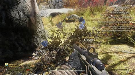 Where To Find Bloodleaf & Soot Flower In Fallout 76 - Gamers Heroes