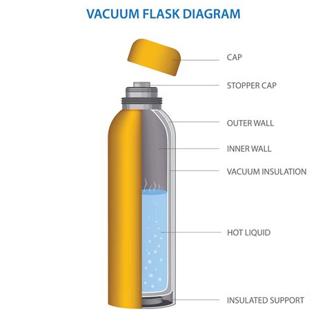 vacuum flask or Thermo flask fully diagram vector illustration 21669363 ...