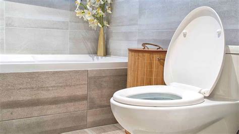 Blocked Toilet Repairs Sunshine Coast, Clearing & Unblocking | Refined Plumbing