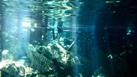 Snorkeling at Cenote Dos Ojos - YouTube