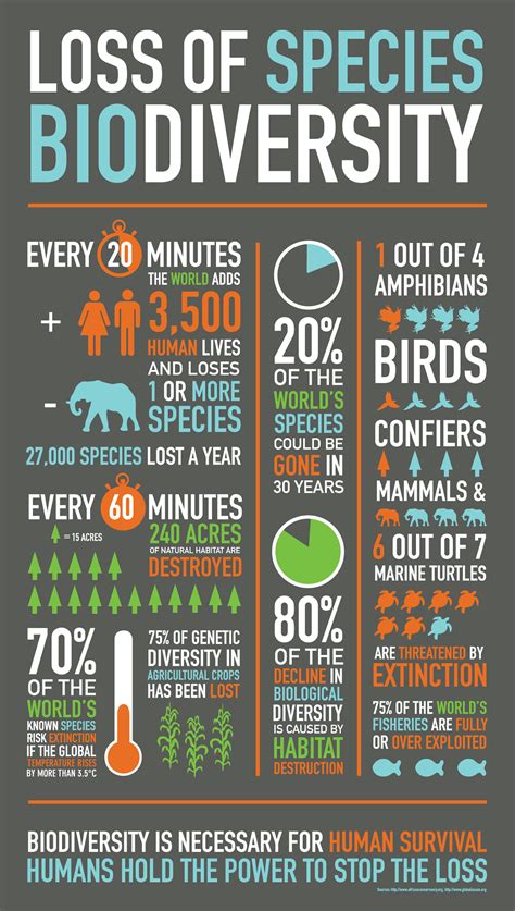 Loss of Biodiversity Infographic :: Behance