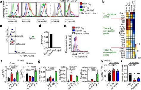 Characterization of brain Treg cells a, Treg cell activation markers on ...