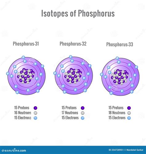 Isotopes Of Phosphorus Atom 3D Vector Illustration | CartoonDealer.com ...