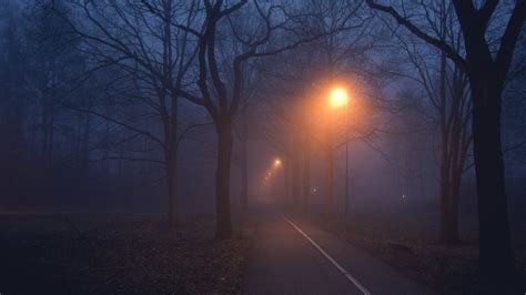 Download Street Light Night Fog Man Made Road HD Wallpaper