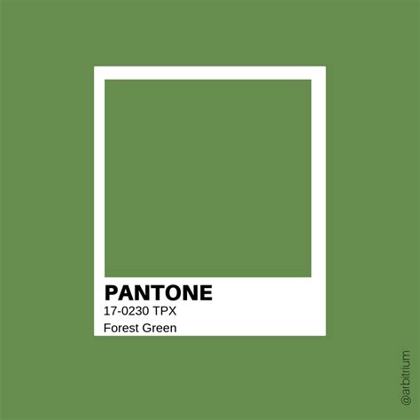 pantone forest green 17-0230 - Google Search | Pantone, Pantone green, Forest green