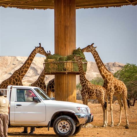 Al Ain Zoo - BMTS