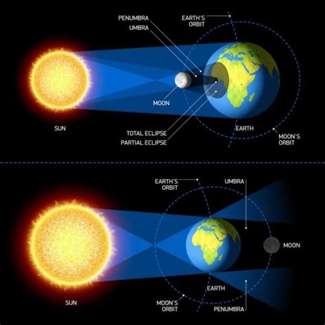 Solar Eclipse STEM Activities and Moon Phases Projects for Kids Eclipse ...