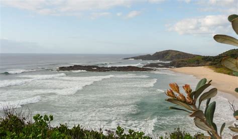 Point Plomer campground | Learn more | NSW National Parks