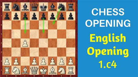 Ideas behind modern chess openings black - animalloced