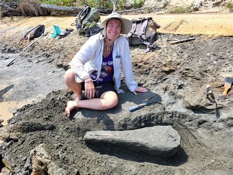 Skull of 15 million-year-old, dolphin-like creature found in Maryland - The Washington Post