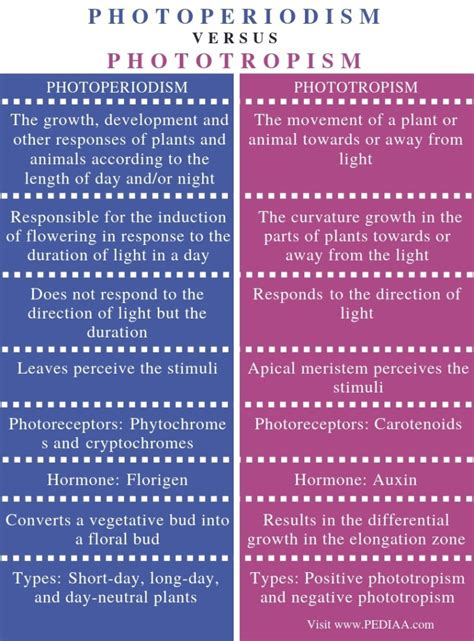 What is the Difference Between Photoperiodism and Phototropism - Pediaa.Com