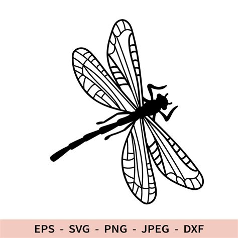 Dragonfly Svg Dragonfly Silhouette File for Cricut Outline I - Inspire ...