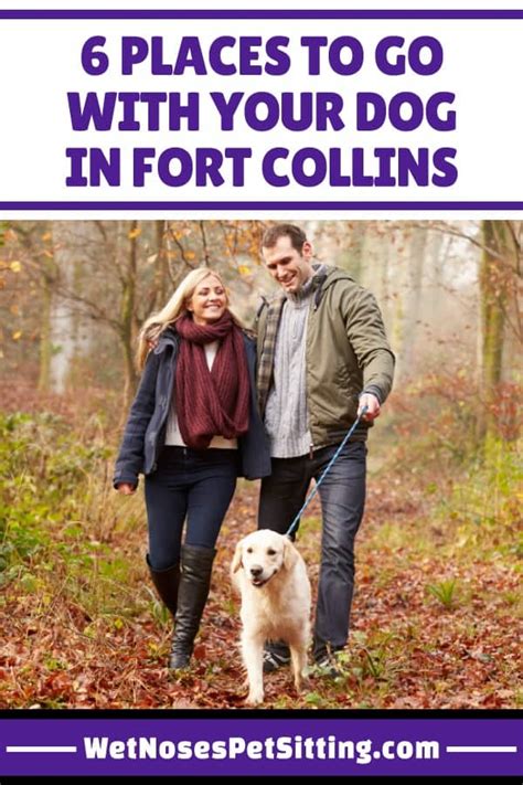 Places to Go With Your Dog in Fort Collins - Wet Noses Recommendations