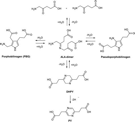 Chemical approaches for the enhancement of 5-aminolevulinic acid-based photodynamic therapy and ...